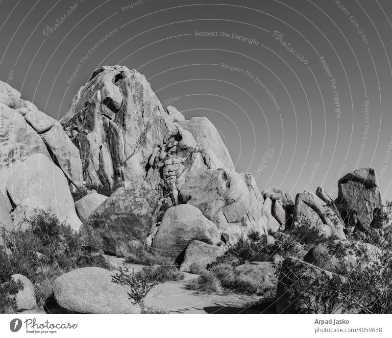 Joshua Tree Mono Abstract ABSTRACT Black And White California Desert Joshua Tree National Park Landscape Monument Road Stone Sunrise Sunset rock