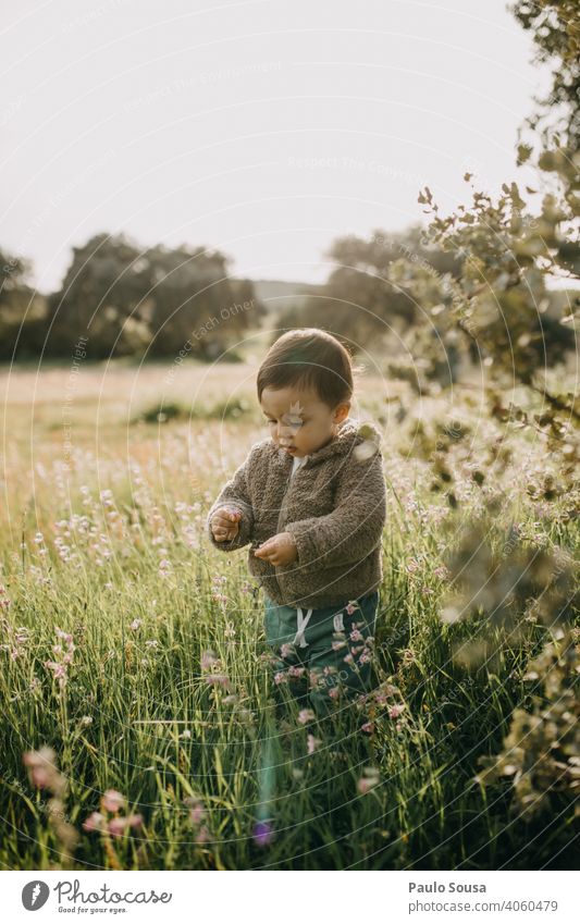 Child picking spring flowers 1 - 3 years Caucasian Authentic Spring Spring flowering plant Spring day Colour photo Nature Exterior shot Day Spring fever Flower