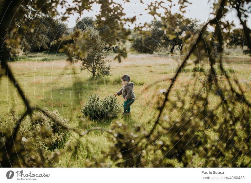 Child picking spring flowers explore Caucasian 1 - 3 years Spring Spring flowering plant Colour photo Exterior shot Plant Blossom Garden Spring fever Blossoming