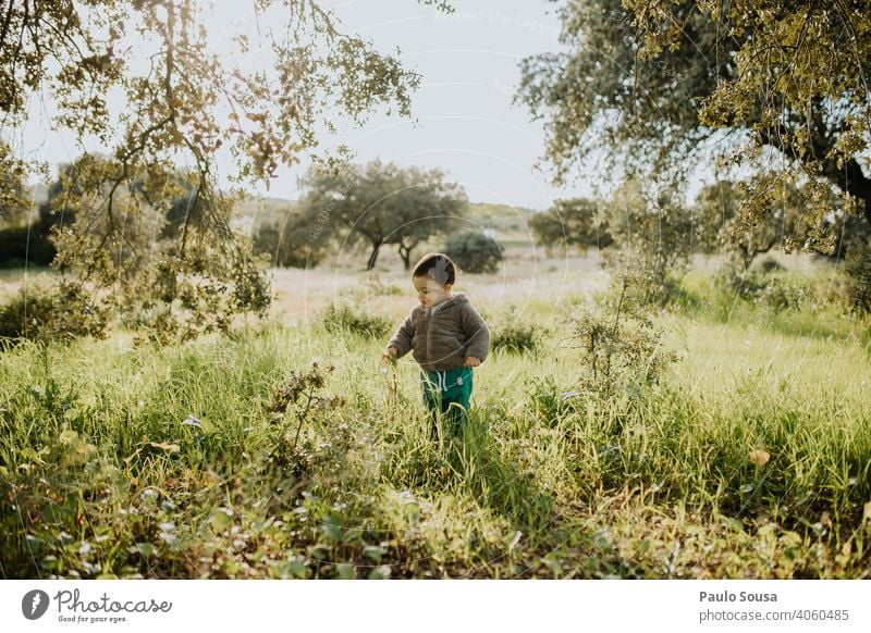 Child picking spring flowers explore 1 - 3 years Caucasian Colour photo Spring Lifestyle childhood Infancy Day Nature Human being Exterior shot Joy Authentic