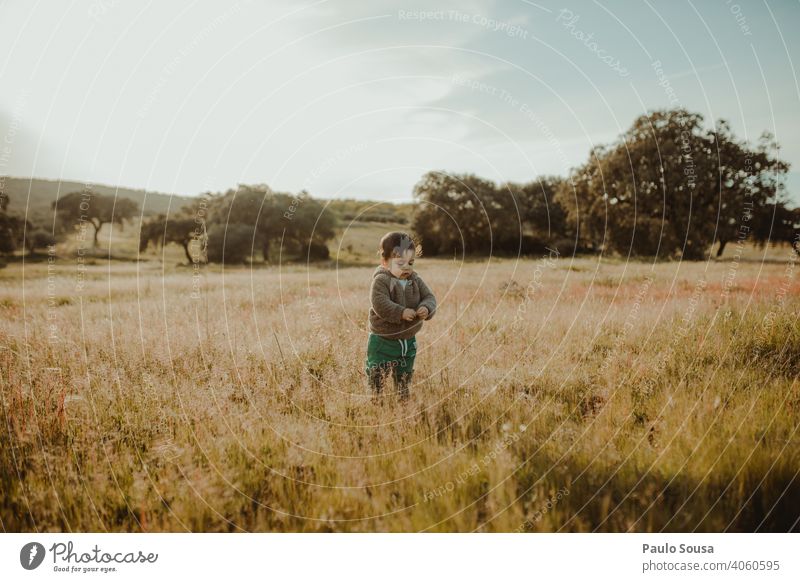 Child picking spring flowers childhood Caucasian 1 - 3 years Spring Spring fever Spring flower Meadow Flower meadow Field Nature Natural Blossom Plant Grass