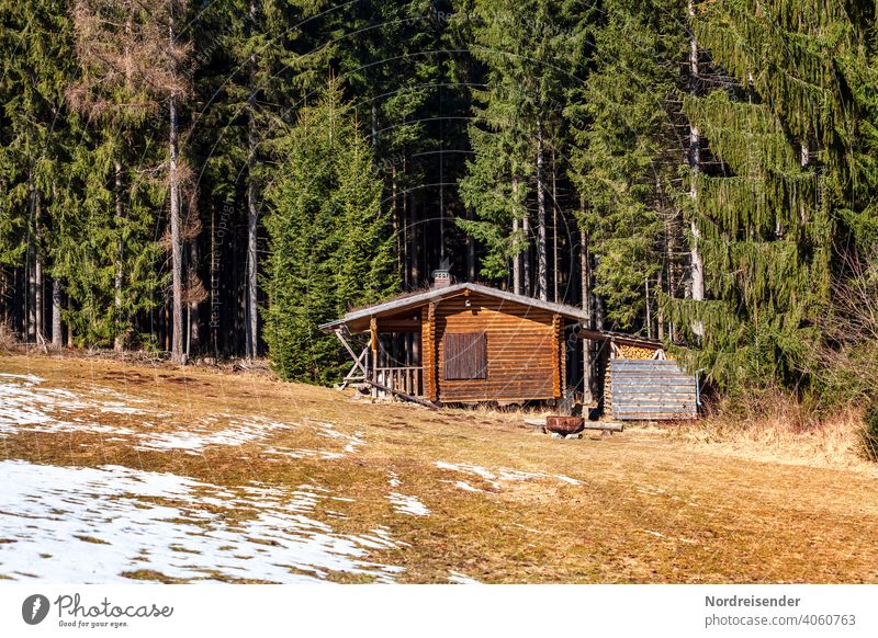 Hunting lodge in the Thuringian Forest Log home Vacation home Wooden house Rustic bungalow Hut hunting lodge spruces Spruce forest Meadow Grass Quaint refuge