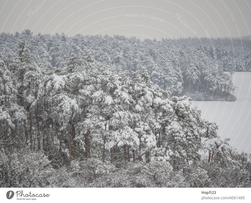 winter landscape White Winter Landscape Nature Close-up Rural Field Arable land acre Snow Sun sunshine Evening sun Cold Sky Tree Frost Exterior shot Blue