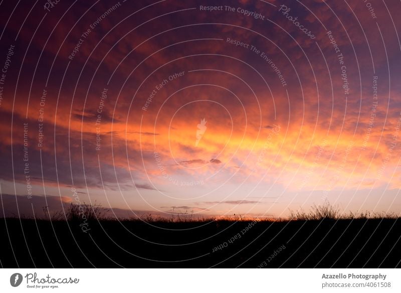 Beautiful sunset in orange and purple colors. background beautiful blood sunset blue bright cloud colorful cool dawn dramatic sky evening flowers