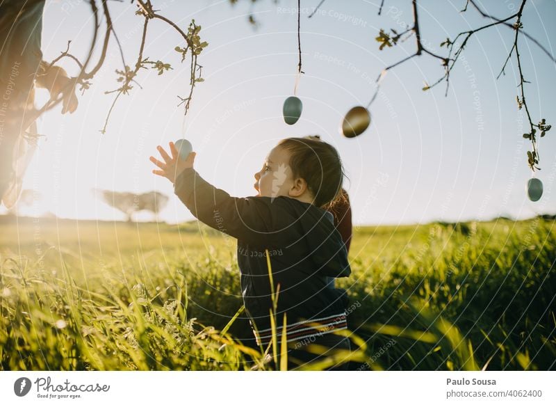 Child playing with Easter eggs outdoors 1 - 3 years Caucasian Spring Tradition Infancy Feasts & Celebrations Nature Exterior shot Decoration Easter egg nest