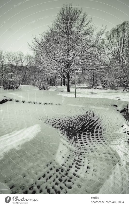 Cold curvature Snow Winter Beautiful weather Idyll Environment Landscape Calm Freeze Wait Snow layer Stationary Exterior shot Winter break Deserted Contrast