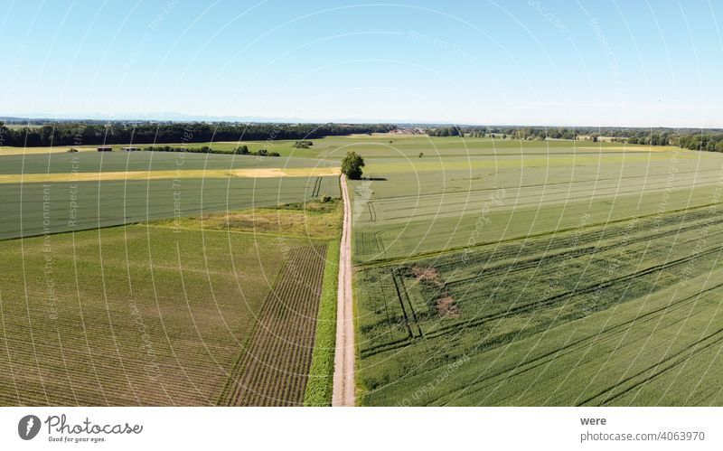 View from the air over agricultural land towards the Alps Area flight aerial view agricultural area agricultural fields alps bird's eye view copy space