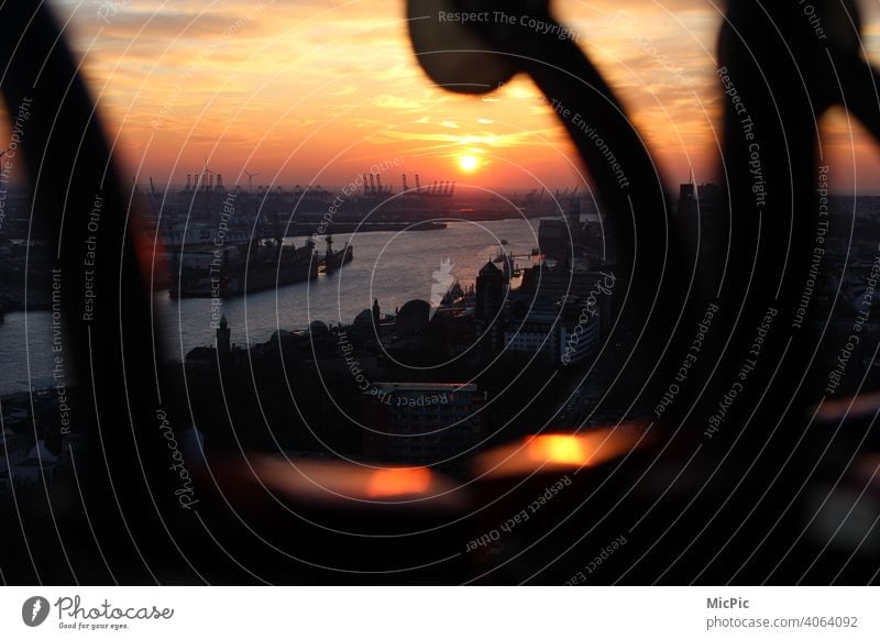 View of the Hamburg harbour at sunset Port of Hamburg Sunset Dusk Port City Light Exterior shot Colour photo Harbour Tourist Attraction Sky Elbe River Water