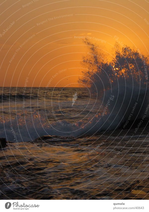 Surf at sunset Colour photo Exterior shot Copy Space left Copy Space top Copy Space bottom Evening Twilight Silhouette Sunlight Sunrise Sunset Ocean Waves