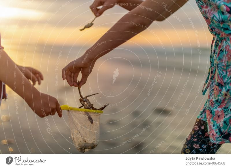 Siblings looking for shellfish during sunset net siblings active beach beautiful child childhood coast family fun girl happiness happy healthy holiday kid