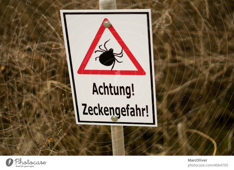 Attention tick danger - Tick sign - Caution ticks tick warning sign ticks shield attention danger of ticks caution ticks attention ticks tick danger sign