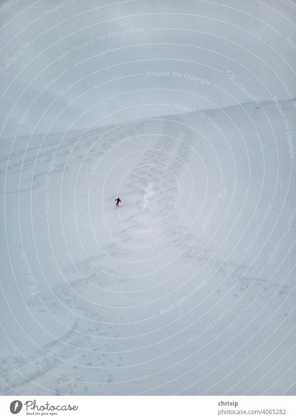 lonesome skier in powder snow Snow Powder snow Colour photo Ski-run Downward Spirited Wiggly line Detail Arch wallpapers Image Threat Curve Ski run