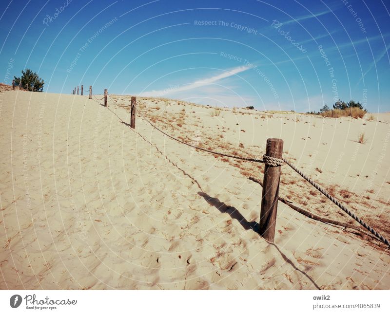 Desert Landscape Nature Environment Sky Beautiful weather Bushes Hill duene Sand Slowinski National Park Poland Nature reserve Eastern Europe Idyll Horizon