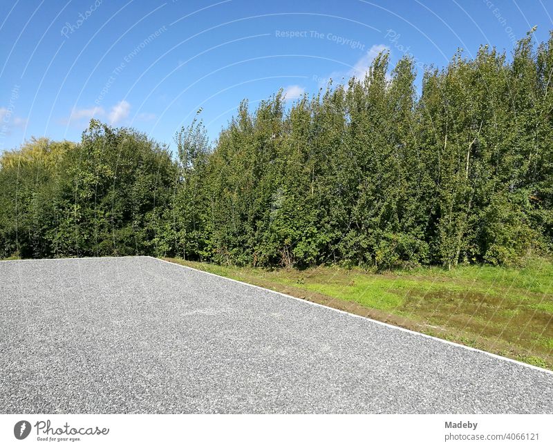 Flat grey gravel parking lot in front of green bushes and shrubs and blue sky in sunshine in Oelde in Westphalia in the Münsterland region of Germany