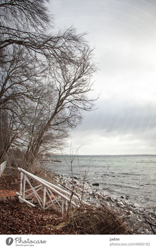 a visit to the sea. Ocean Water Beach Waves Banister Tree coast Sky Baltic Sea Exterior shot Vacation & Travel Nature Relaxation Landscape Tourism Clouds voyage