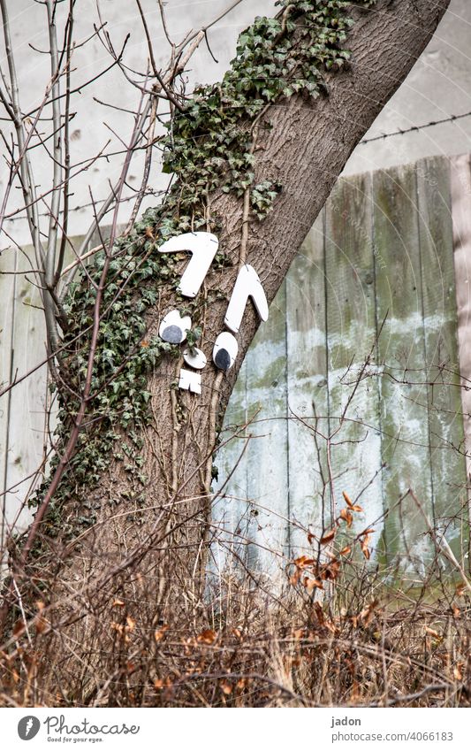 he's coming. anyway. Easter Easter Bunny Tree Hare & Rabbit & Bunny Mask Animal Dress up Costume ears Teeth eyes Nose Mouth Funny Wooden fence shrubby