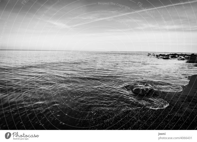 Wide view over the Baltic Sea Ocean Horizon Far-off places tranquillity Sky Water coast Nature Blue Beach Freedom Landscape Baltic coast