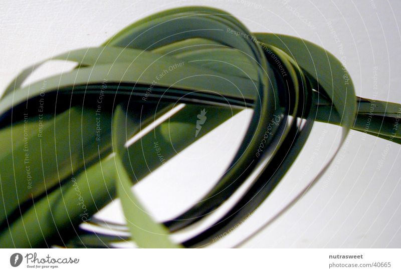 knot Plant Ribbon noodle Knot Detail Shadow bundle of leaves leaf node