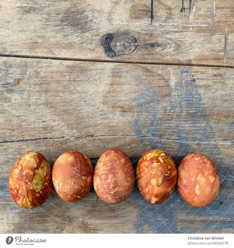 Five Easter eggs, dyed with onion skins, lie side by side on an old weathered wooden board painted with grayish blue paint colored eggs coloured Easter eggs