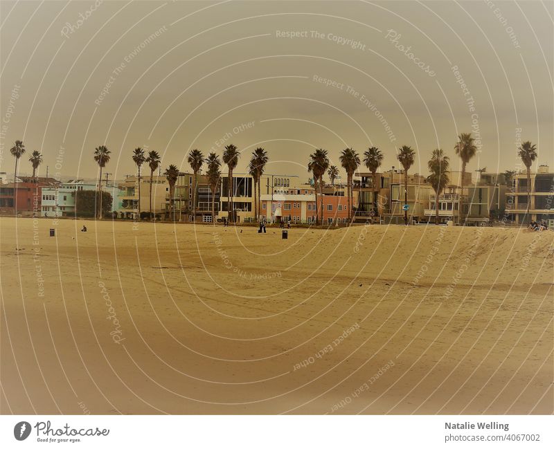 Retro style photo of a hazy beach with a view of beach houses and tall palm trees sand ocean coast waves surfing nature water vacation and travel summer