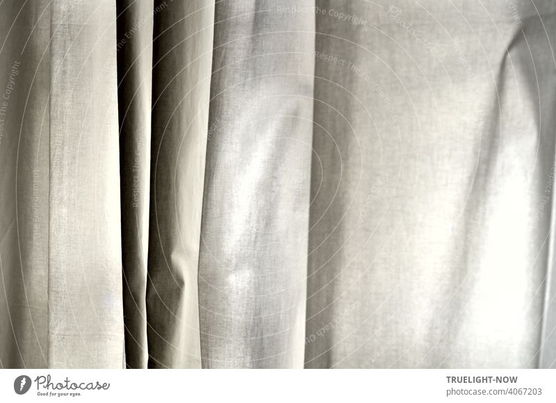 A curtain of plain white cotton hangs in vertical folds, revealing a variety of finely graded shades of grey Drape Cloth Cotton plant White Shades of grey Black