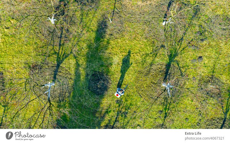 Aerial view on gardener who sprays fruit trees in orchard using atomizer Above Aerosol Agricultural Agriculture Atomizer Biochemical Biohazard Botanic Botanical