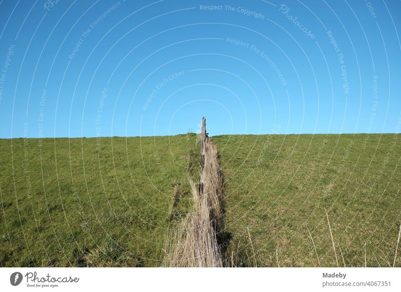 Pasture fence on green grass of sheep pasture in front of blue sky in sunshine in Bensersiel near Esens at the coast of the North Sea in East Frisia in Lower Saxony