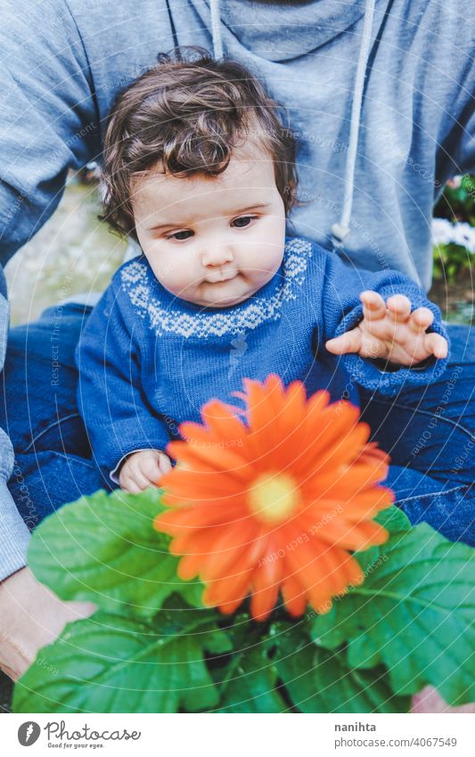 Little baby discovering a huge flower for first time spring happiness family family time dad father girl kid child toddler 9 month casual candid wear life