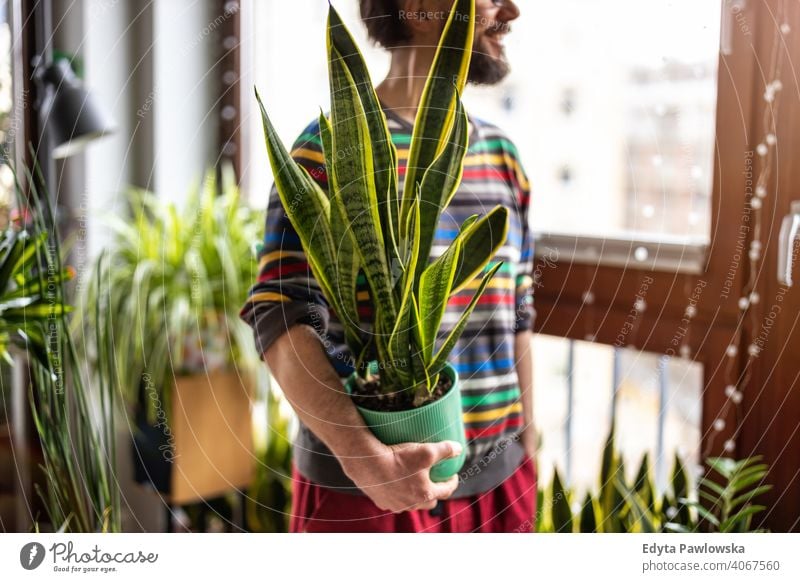 Man holding potted plant in hands at home eco floristry care healthy flora botanical growing fresh leaf growth organic nature gardener green natural flowerpot