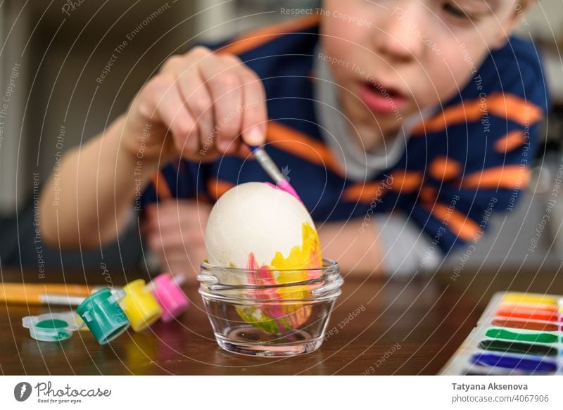 Boy coloring Easter egg easter child decoration dye painting home boy brush easter egg holiday spring indoor tradition fun childhood craft table art caucasian