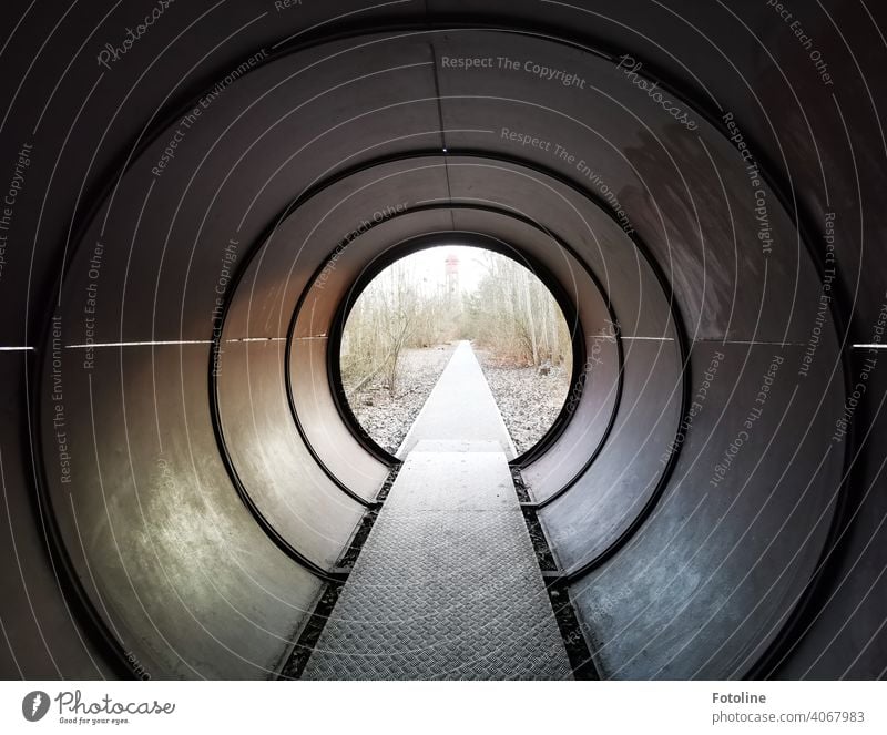 Tunnel vision? tube reeds Metal Deserted Industry Steel Technology Detail Old Light Colour photo technique Pipe Round Architecture Shadow Subdued colour