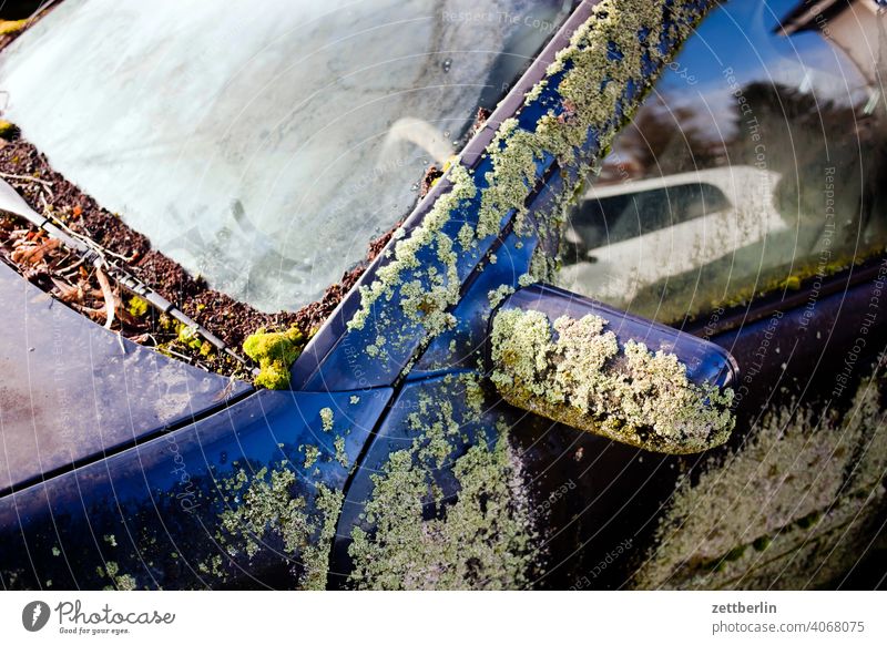 Mossy car Parking lot Old Wrecked car mossy Overgrown Car body Vintage car Floodlight Forget Doomed prosperity household trash wreck scrappage bonus Ruin moped