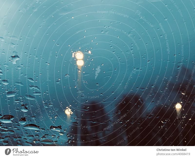 View through a wet window of dusk at blue hour. Rainy weather with blurred trees and streetlights rainy Wet Twilight Twilight sky Evening Dusk hazy blurriness