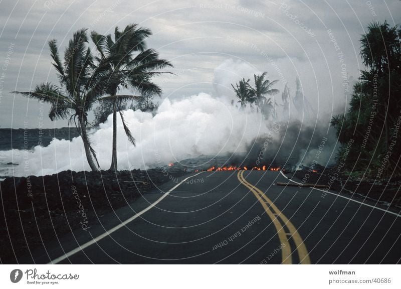 DEAD End Lava No through road Palm tree Street Volcano Blaze Steam wolfman wk@weshotu.com