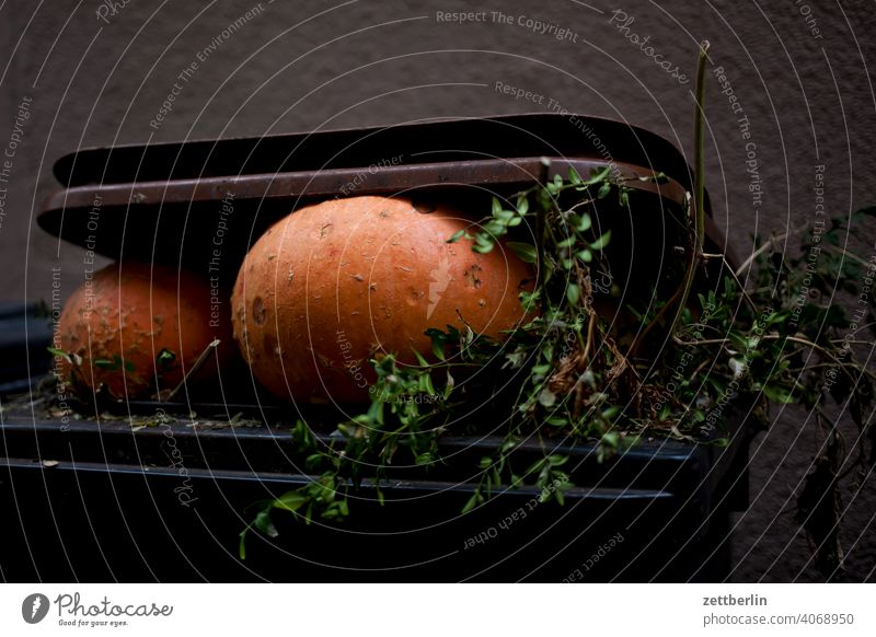 Pumpkins as organic waste Old building on the outside Biogradable waste Fire wall Facade Window House (Residential Structure) Sky Sky blue rear building