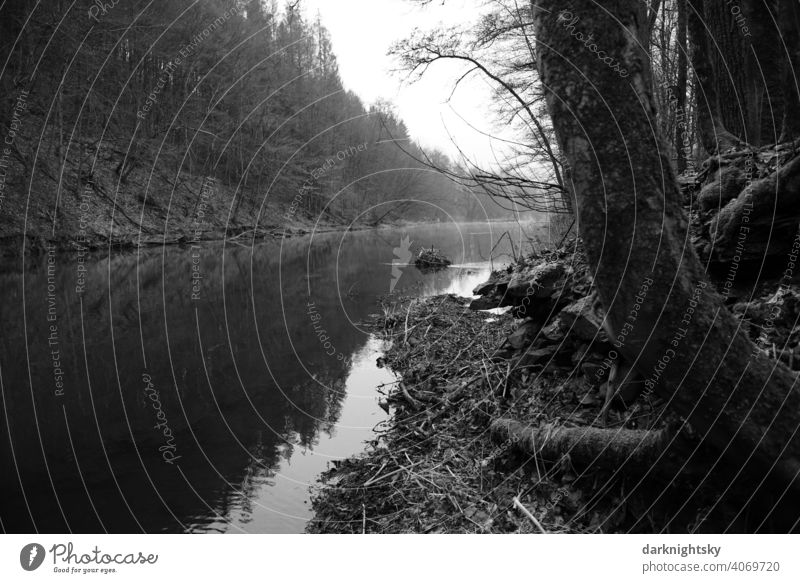 Shore at a shallow flowing river in the early morning in the morning Water Mirror bank Victory Valley Morning Fog Reflection Deserted Landscape Nature Light