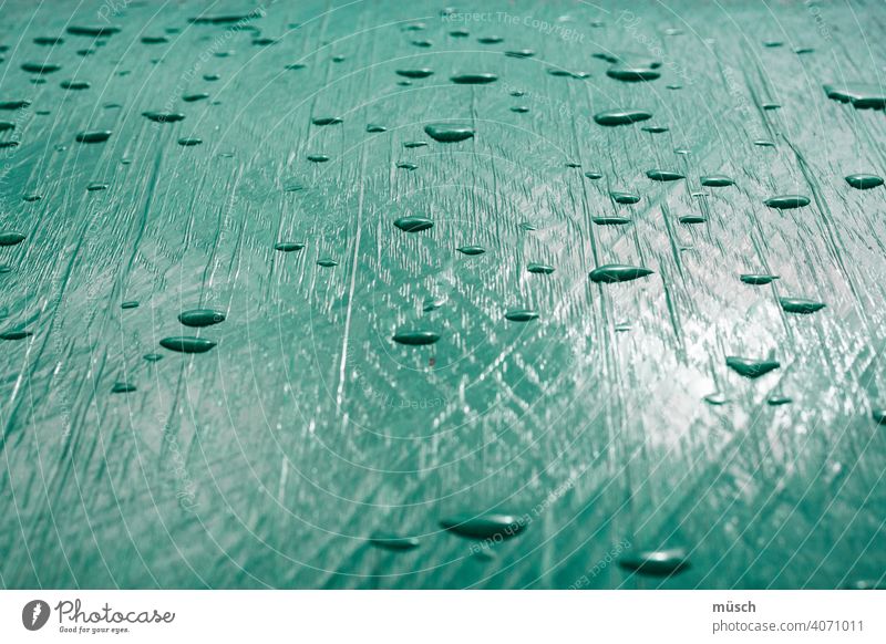 raindrop Green Packing film Drop Rain Agriculture Sun Light Shadow reflection Line Bend Grid Black Protection Bale of straw animals peasant Field