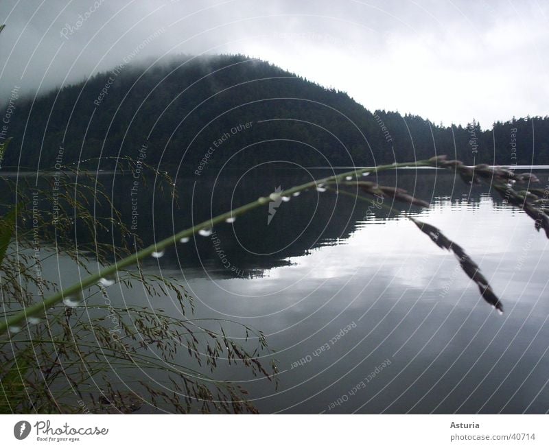 rain drops Rain Reflection Blade of grass Clouds Dark Fog Lake Grass Grief Drops of water Mountain Water Sadness Loneliness