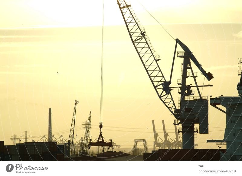 Port of Hamburg Crane Cargo Watercraft Dock Sunset Back-light Far-off places Electrical equipment Technology Harbour Container tele Shipyard