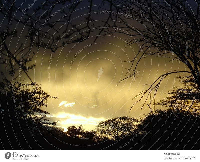 Wild Wilderness Dark Light Clouds Mystic Evening Shadow