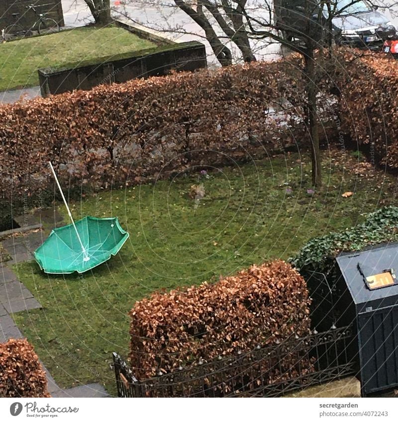 Throwaway society. Garden Umbrellas & Shades windy Wind Spring Trash container Throw away Green Lawn Meadow Grass Nature Exterior shot Brown Hedge