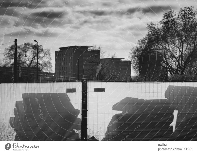 shadow play Detail Exterior shot Deserted Sky Sunlight Shadow House (Residential Structure) Copy Space top cirrostratus clouds Light Calm Close-up