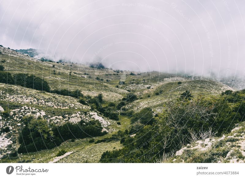 cloudy day with fog in the mountains of the natural park of the ports, in tarragona (spain) eroded layered canyon nature outdoors travel destinations descent