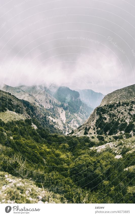 cloudy day with fog in the mountains of the natural park of the ports, in tarragona (spain) eroded layered canyon nature outdoors travel destinations descent