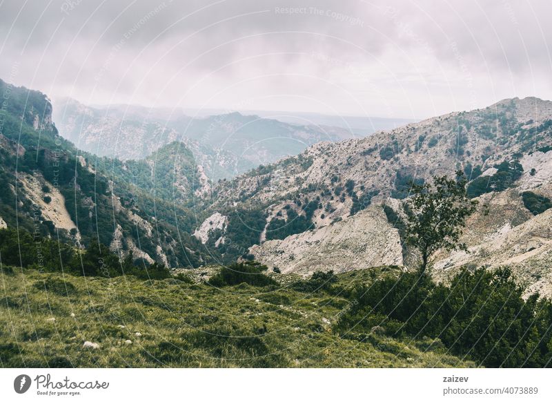 cloudy day with fog in the mountains of the natural park of the ports, in tarragona (spain) eroded layered canyon nature outdoors travel destinations descent