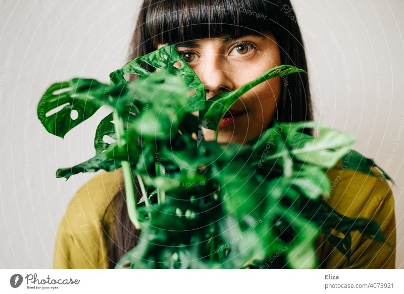 Woman peeking out from behind green houseplant. Monkey Monstera adansonii. Plant Houseplant deliciosa monster Pot plant Green Foliage plant monstera adansonii