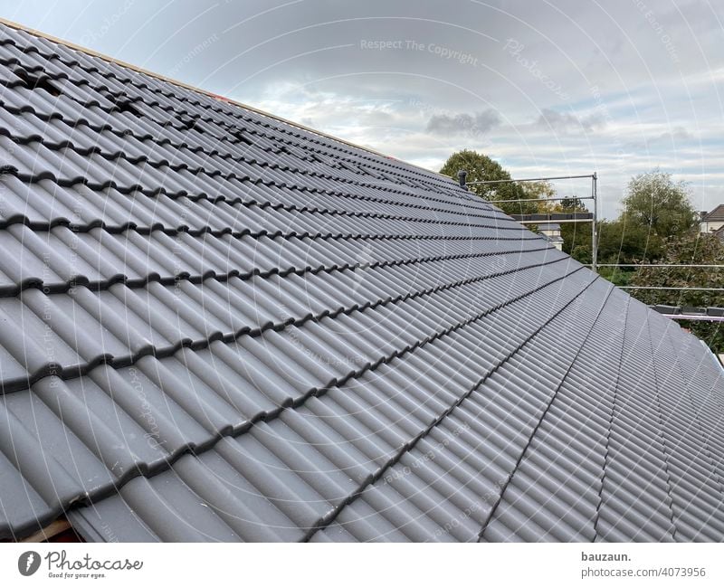 roof area. Roof Tiled roof Roofing tile Black Scaffold Exterior shot Deserted Colour photo House (Residential Structure) Day Architecture Building