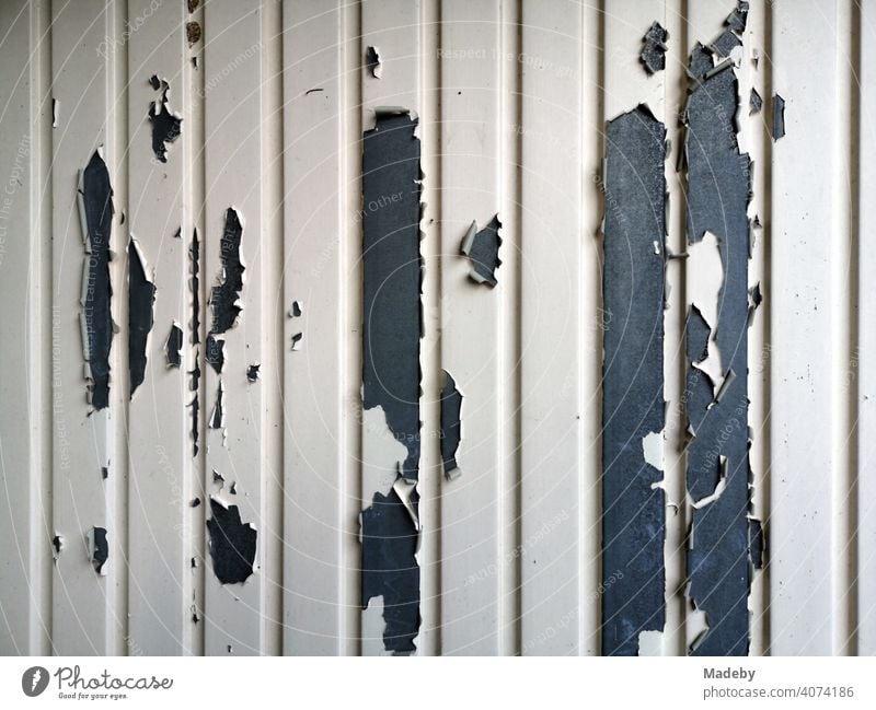 Peeling paint on a garage door in light beige on grey steel in Oerlinghausen near Bielefeld in the Teutoburg Forest in East Westphalia-Lippe Goal Iron Steel