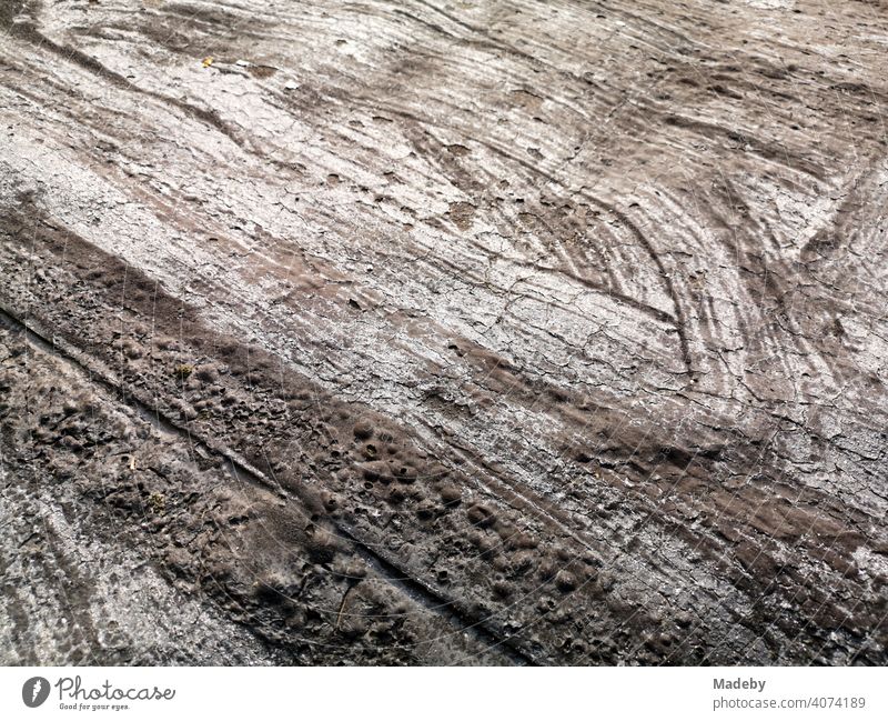 Structure and pattern of a coated roofing felt on a shed in Oerlinghausen near Bielefeld on the Hermannsweg in the Teutoburg Forest in East Westphalia-Lippe