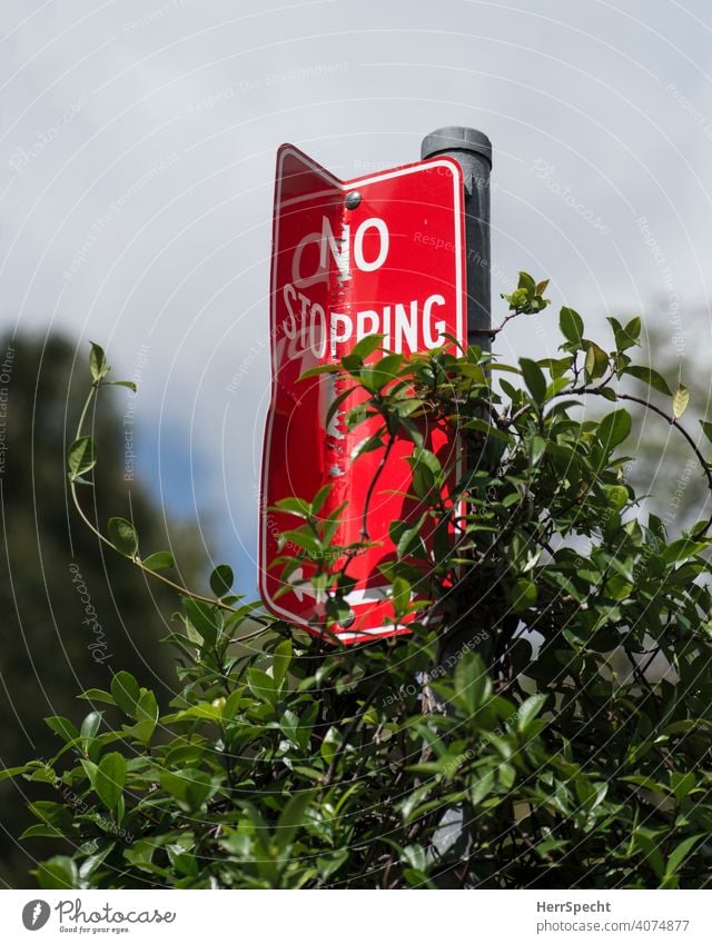 No stopping sign with climbing plant Road sign Signs and labeling Characters Road traffic Deserted Colour photo English Arrow Red signal red Stop Transport